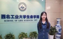 2020年西安市足球冠军联赛_2022西安足球_2023足球冠军行西安