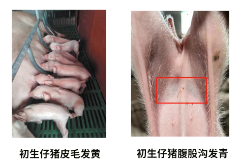 身体亚健康的人生说说_健康的生意都有什么啊_生意不好身体亚健康