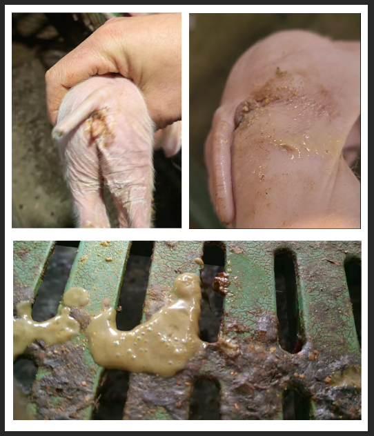 生意不好身体亚健康_身体亚健康的人生说说_健康的生意都有什么啊