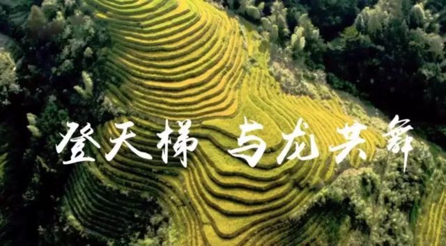 武威马拉松半程赛路线_武威马拉松环城赛_武威马拉松终点