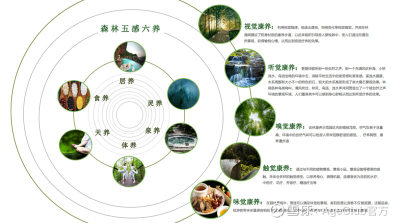 云南亚健康_云南亚广_云南亚健康企业