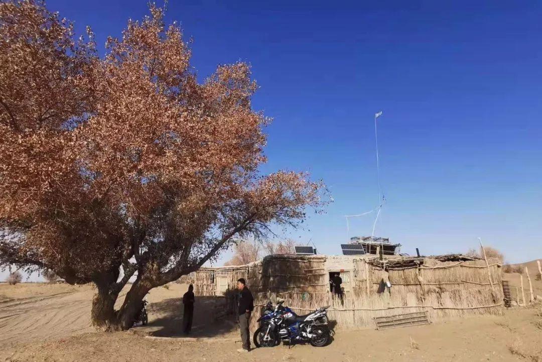 沙漠生存问题_沙漠中怎么生活_沙漠生活方式