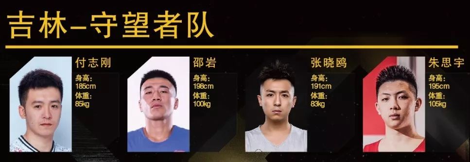 云南省篮球运动员_全运会云南篮球队_十四届全运会云南篮球冠军