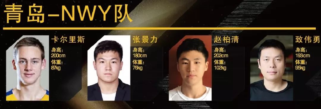 云南省篮球运动员_全运会云南篮球队_十四届全运会云南篮球冠军