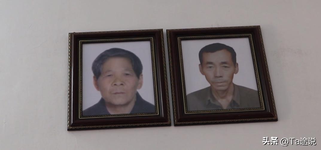 世界游泳冠军是_谁不是游泳冠军_游泳冠军是什么动物
