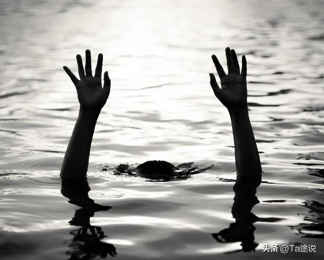 游泳冠军是什么动物_谁不是游泳冠军_世界游泳冠军是
